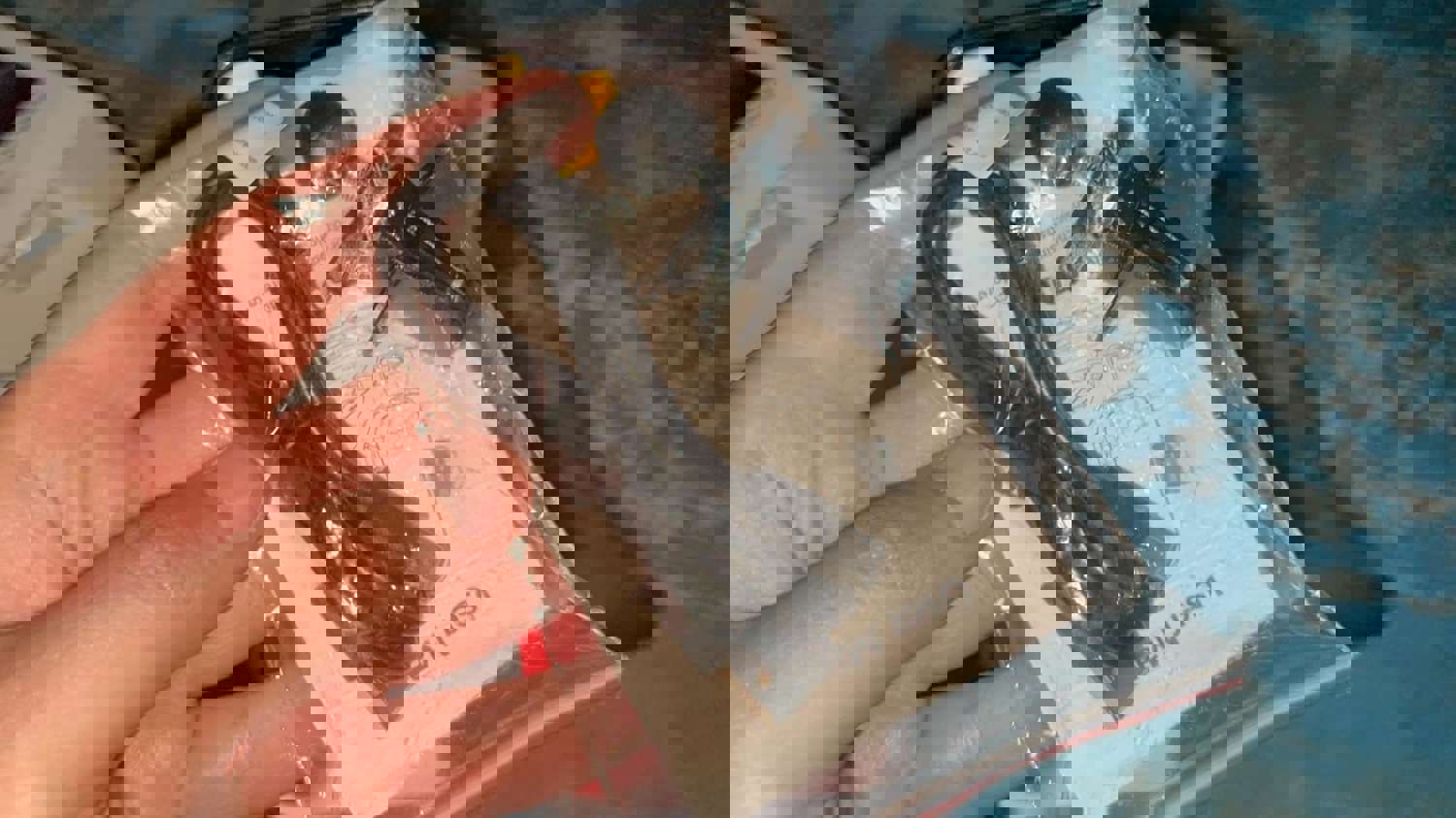1310645