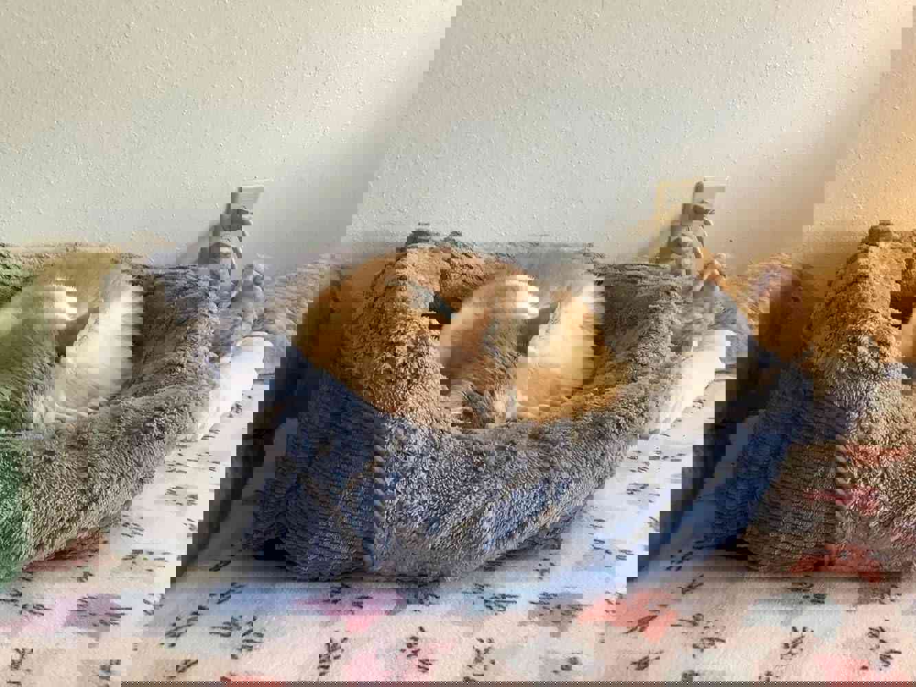 1315742