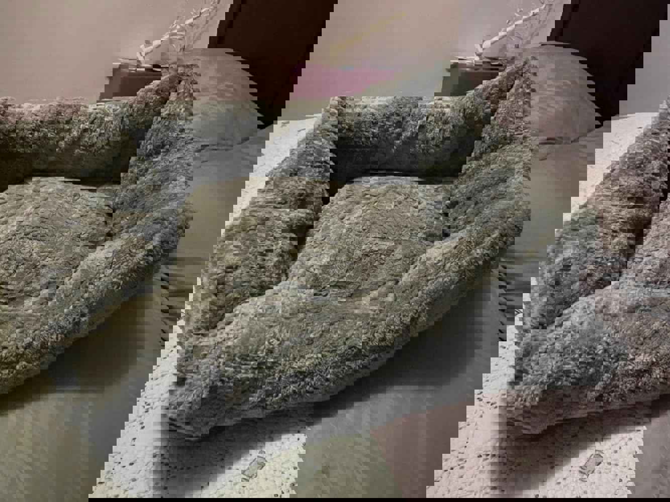 1315747