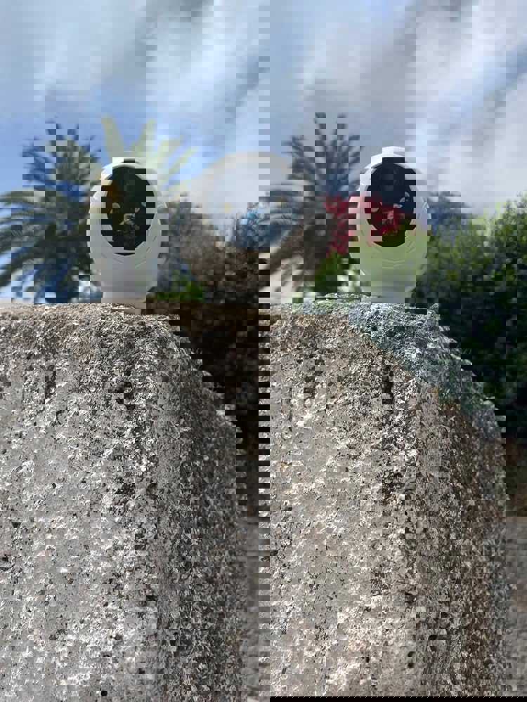 1315463