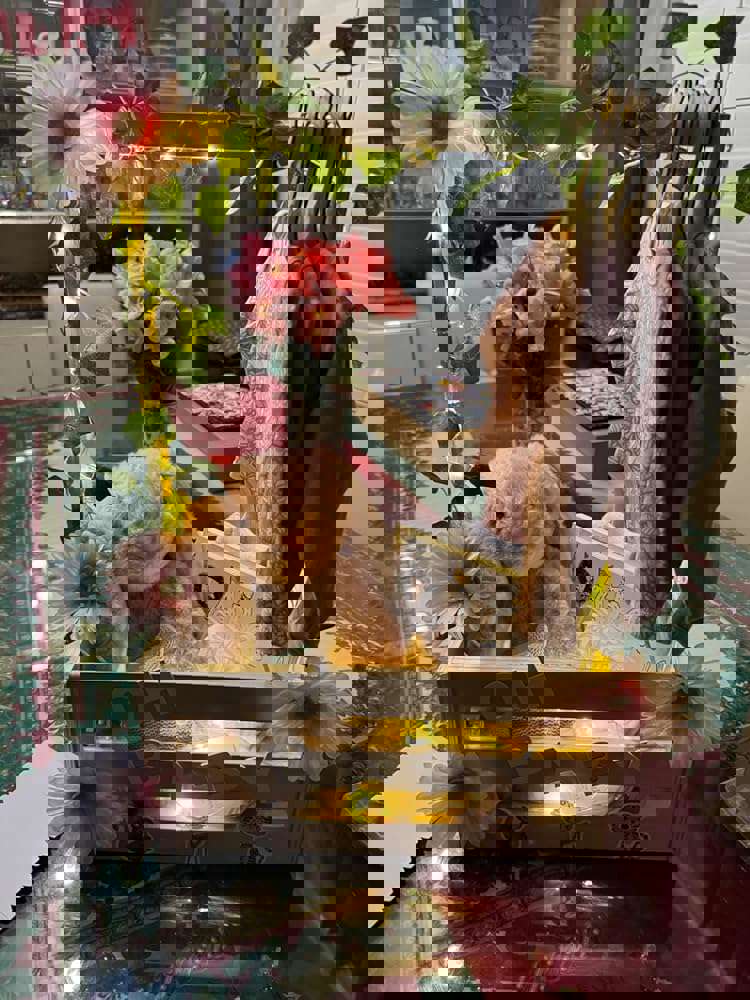 1313682