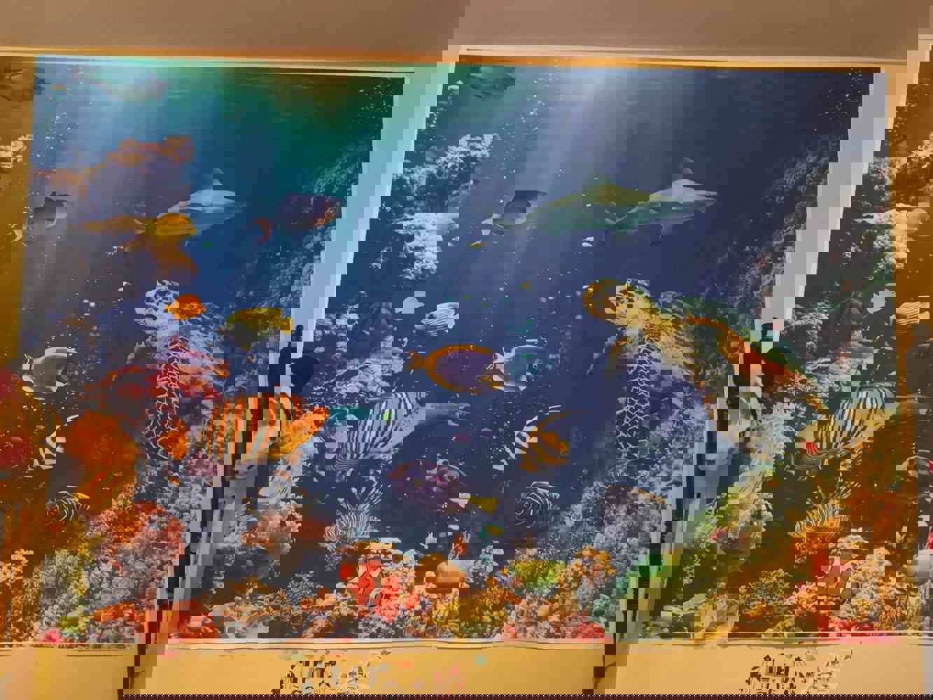 Ayayiya Under The Sea Photography Backdrop Aquarium Underwater World Tropical Ocean Animals Coral Reef Background Mermaid Birthday Baby Shower Party Decorations Photo Banner Props (7x5ft)