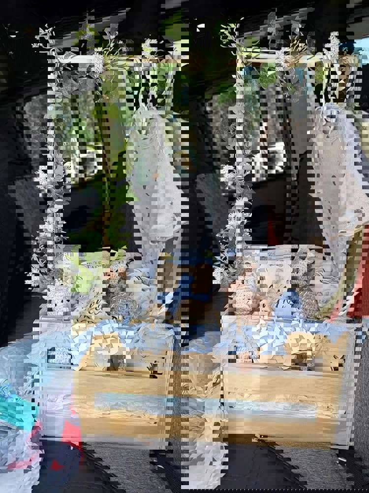 1313686