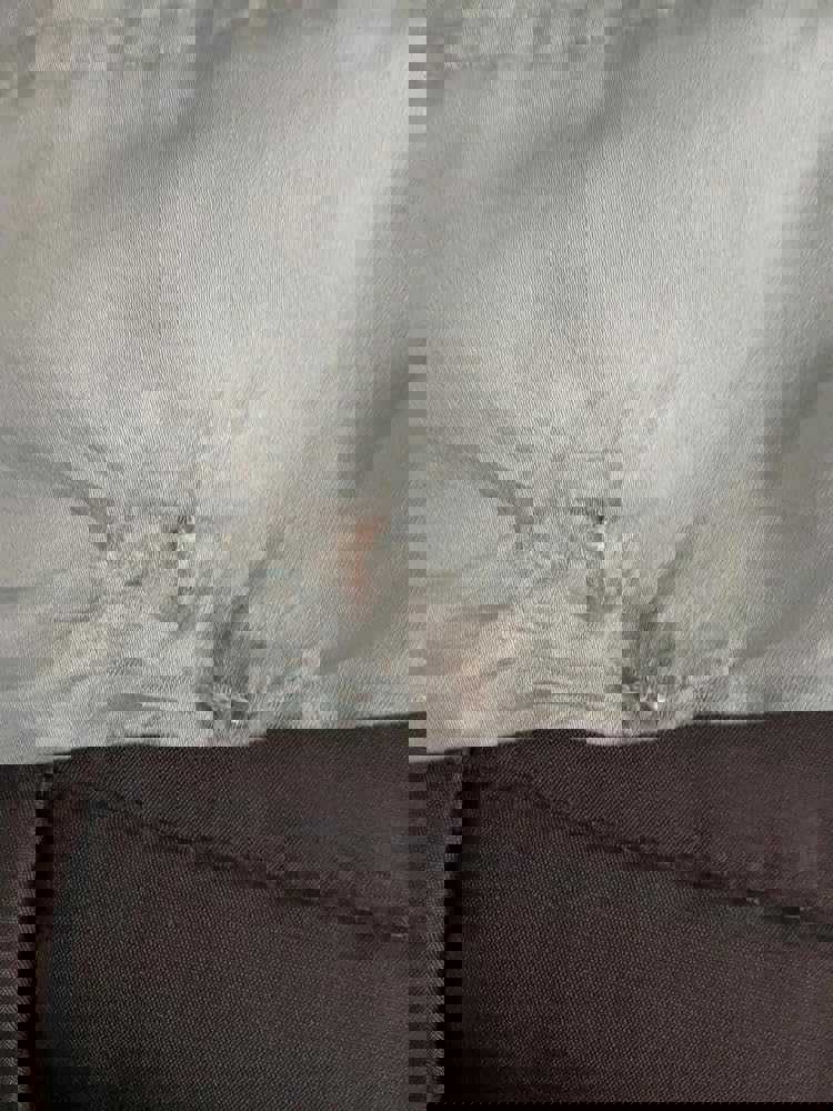 1337884