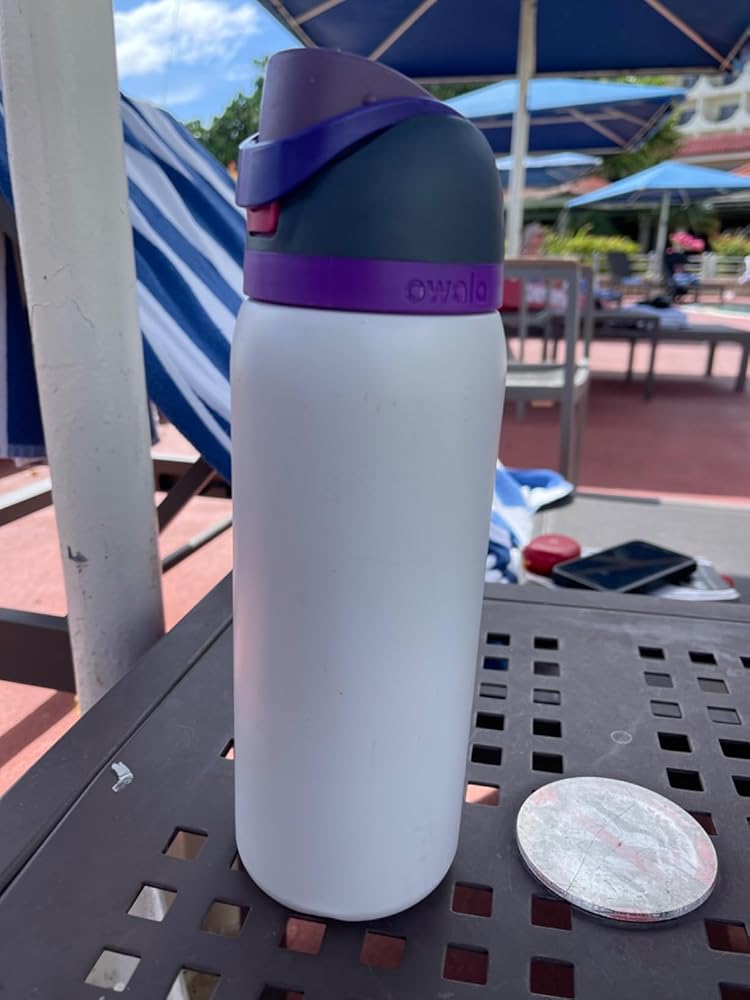 Owala Kids FreeSip Insulated Stainless Steel Water Bottle with Straw for Sports, Travel, and School, BPA-Free Sports Water Bottle, 16 oz, All The Berries