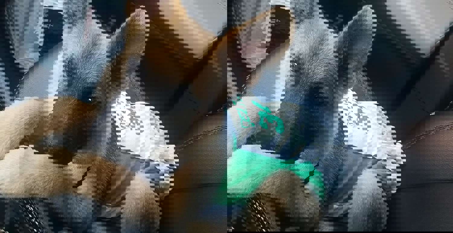 1366024