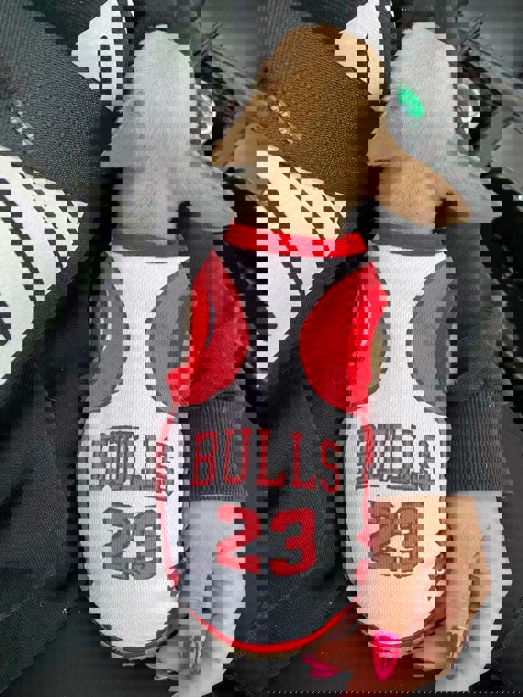 1366029