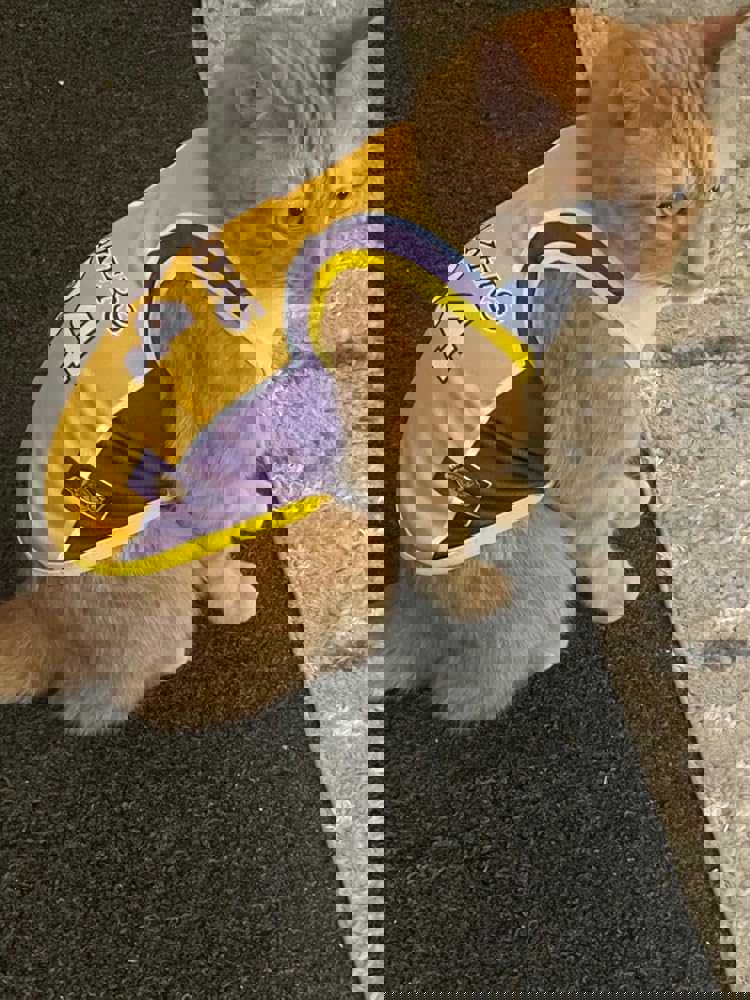 1366022