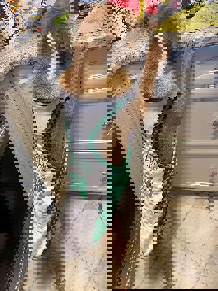 1366028