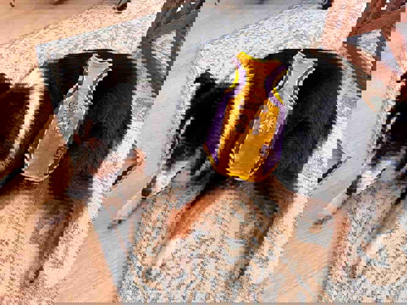 1366018