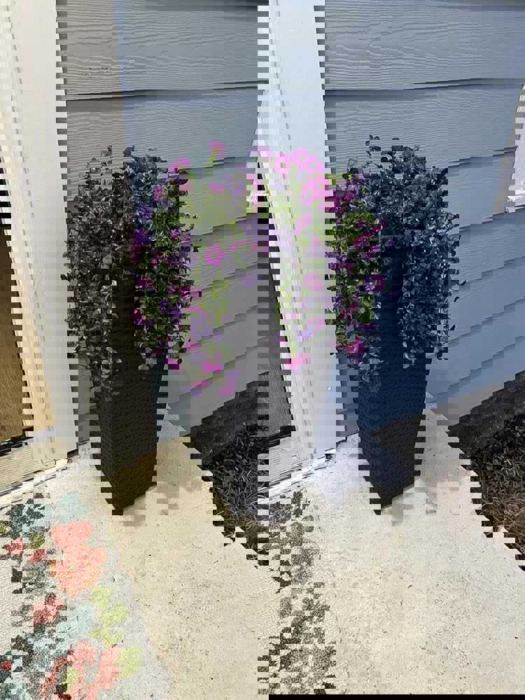 1366225