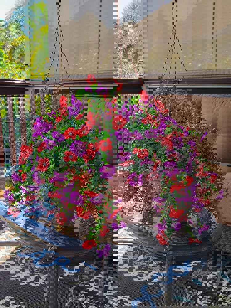 1366223