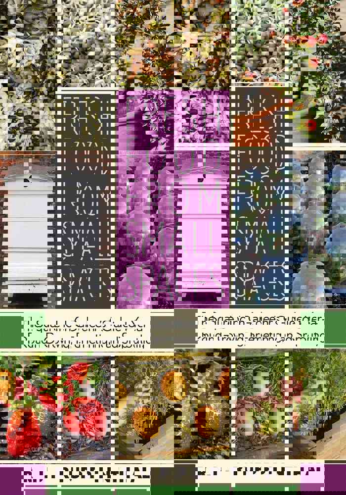 Fresh Food from Small Spaces: The Square-Inch Gardener's Guide to Year-Round Growing, Fermenting, and Sprouting