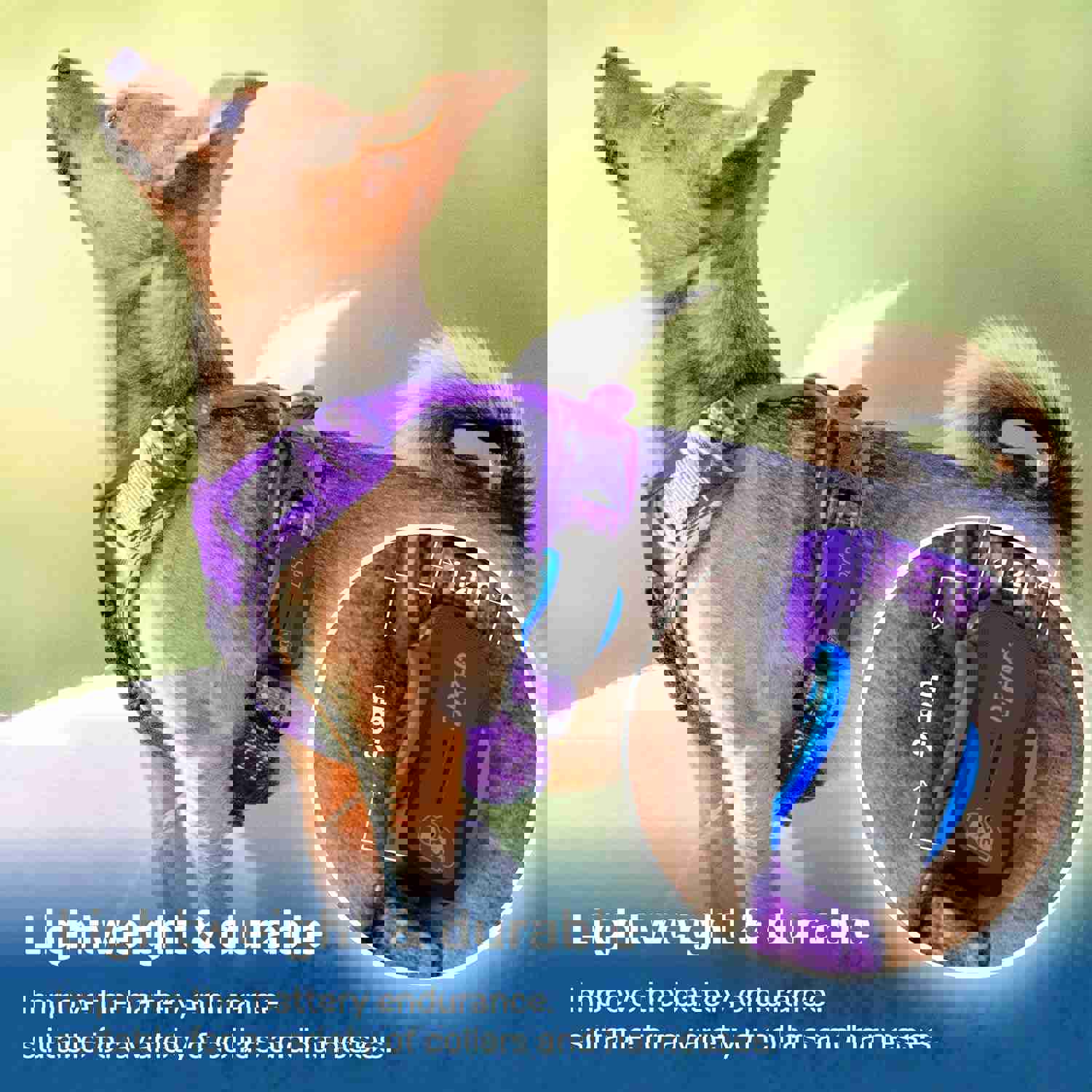 1365811