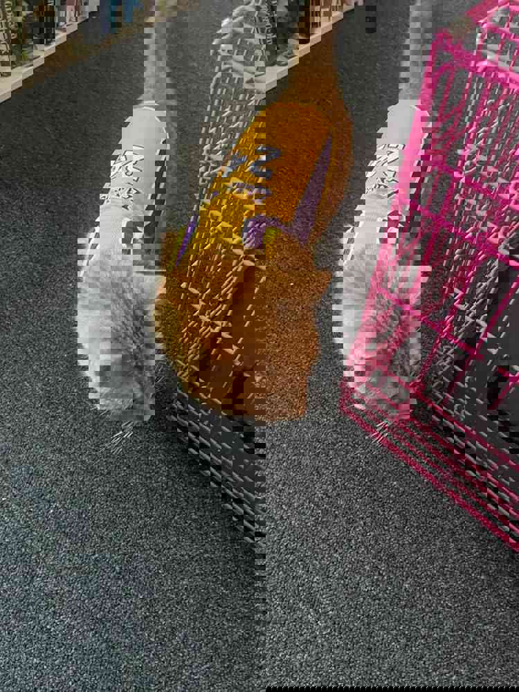 1366021