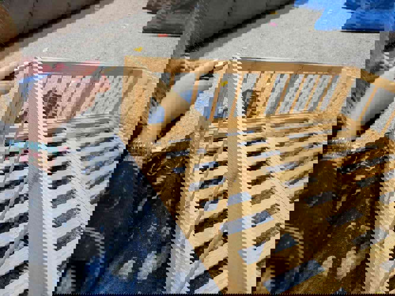 1366258