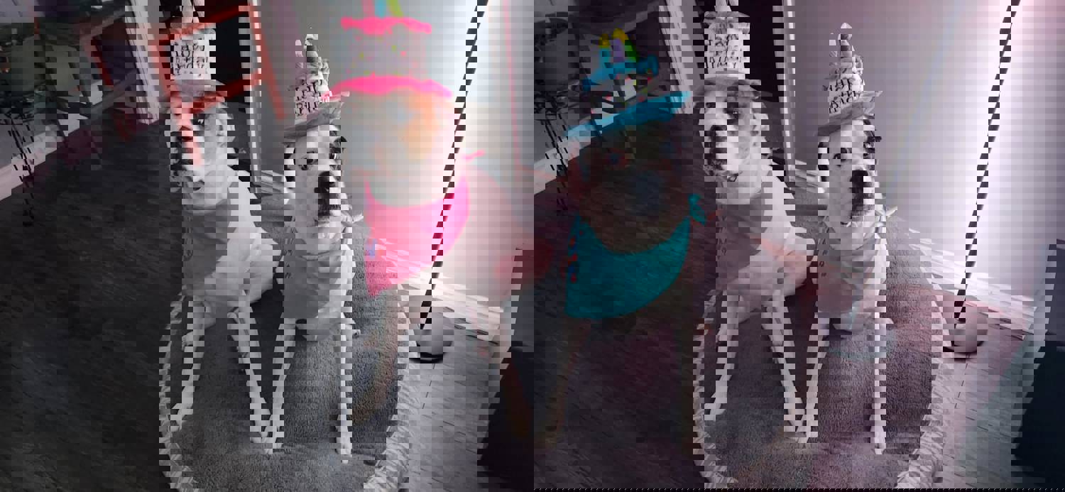 1366015