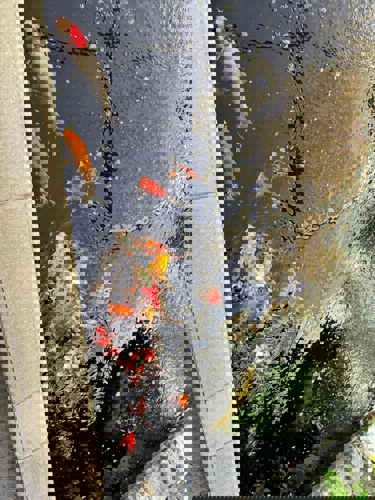 1450929