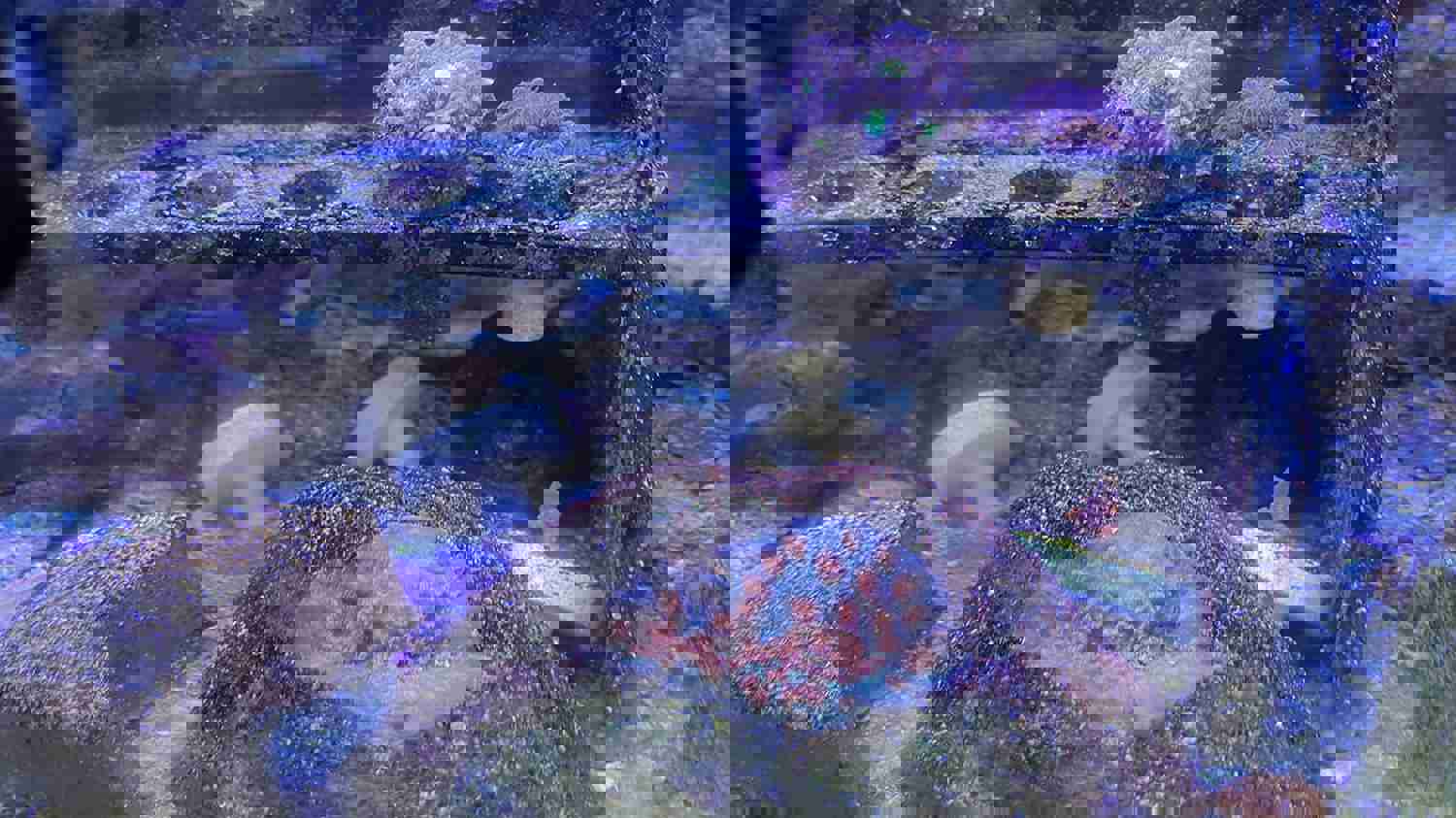 1481754