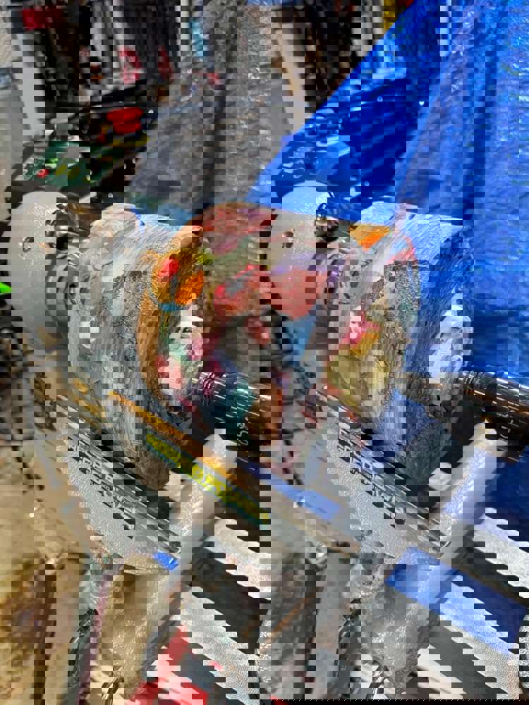1481781