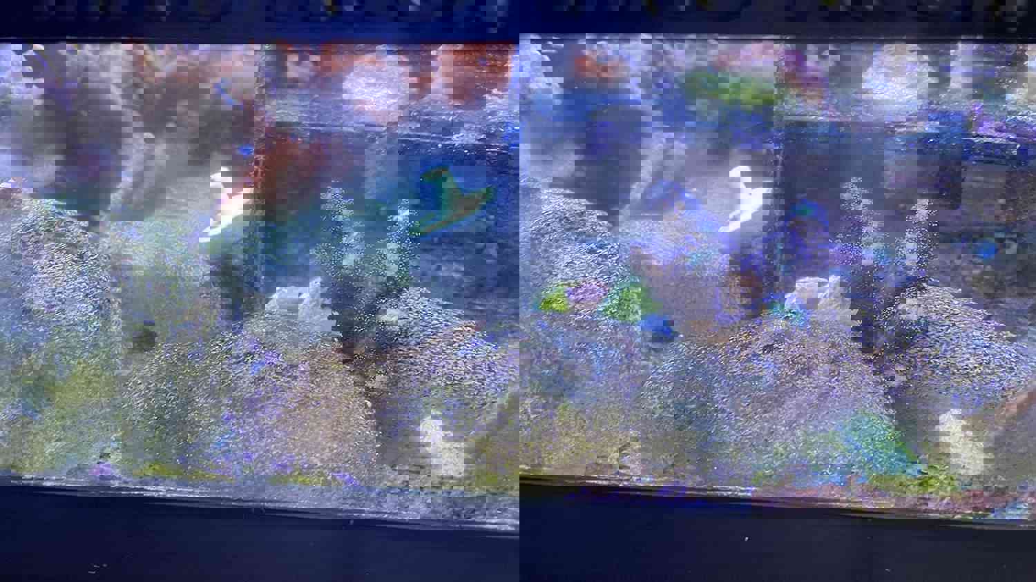 1481753