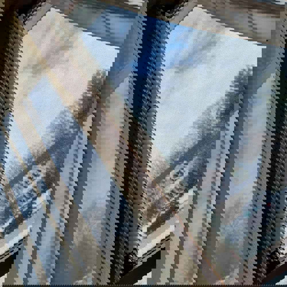 1481635