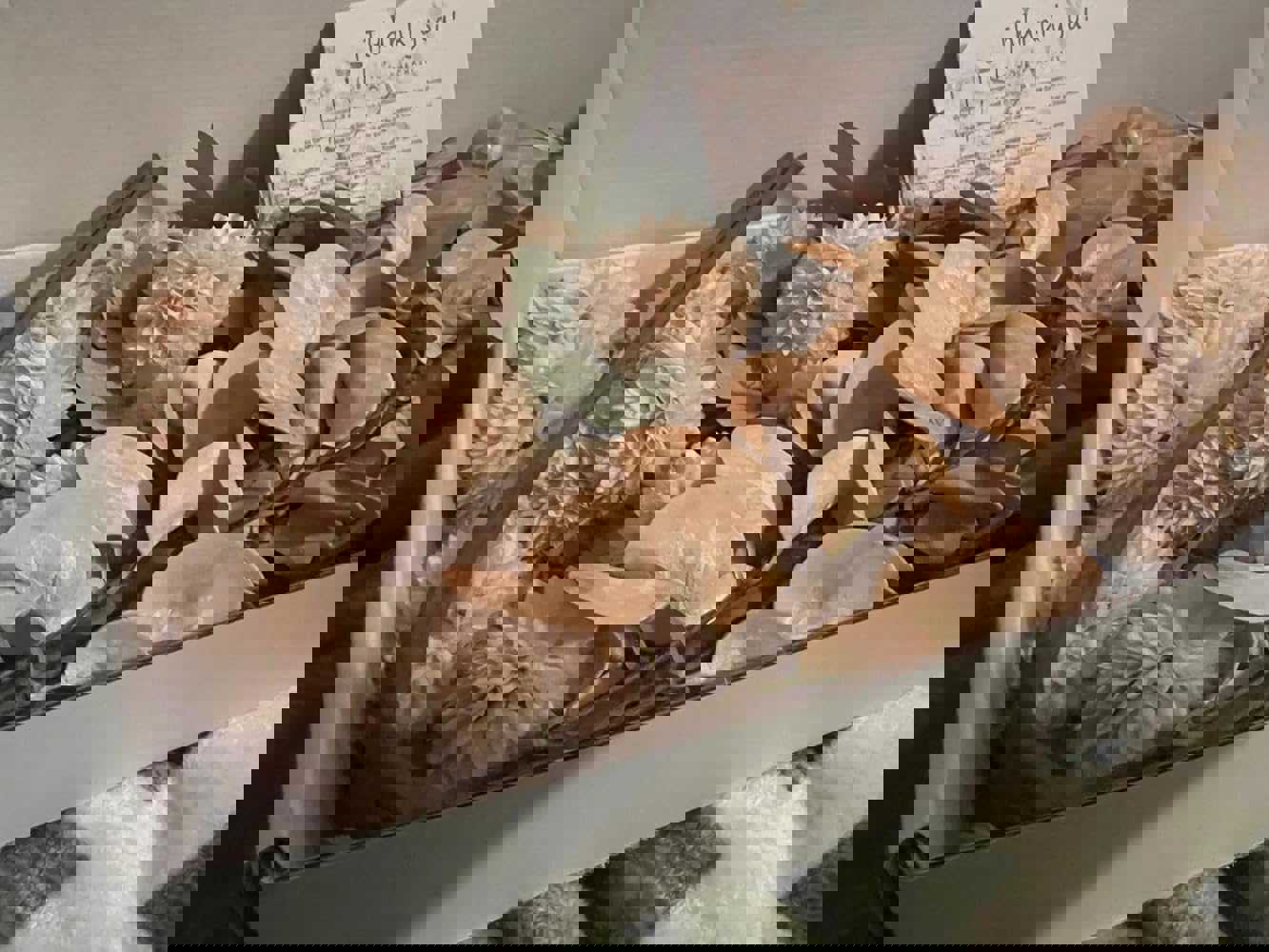 1484916