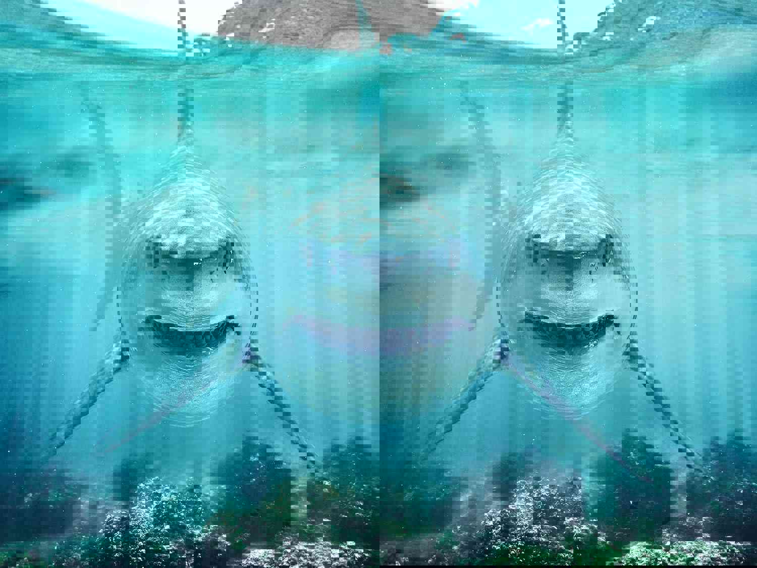 1510118