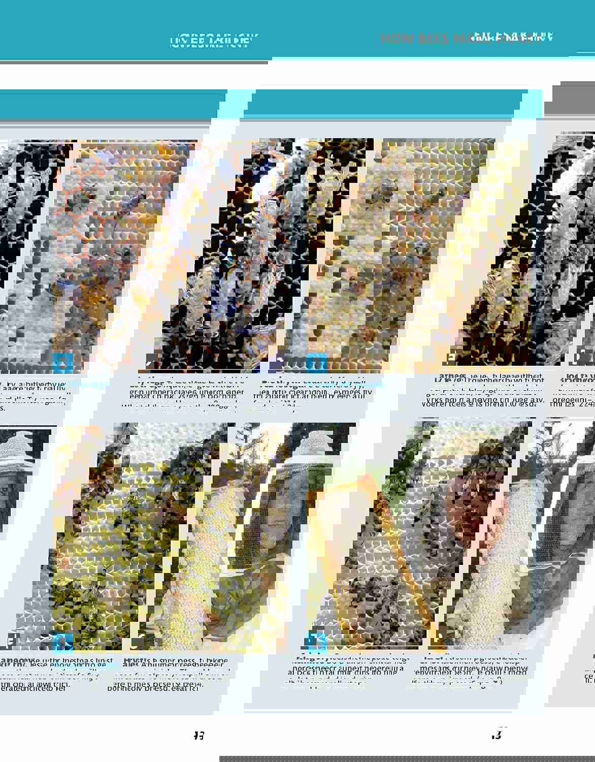1520563