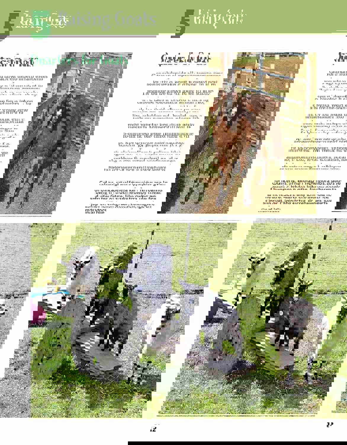 1520562