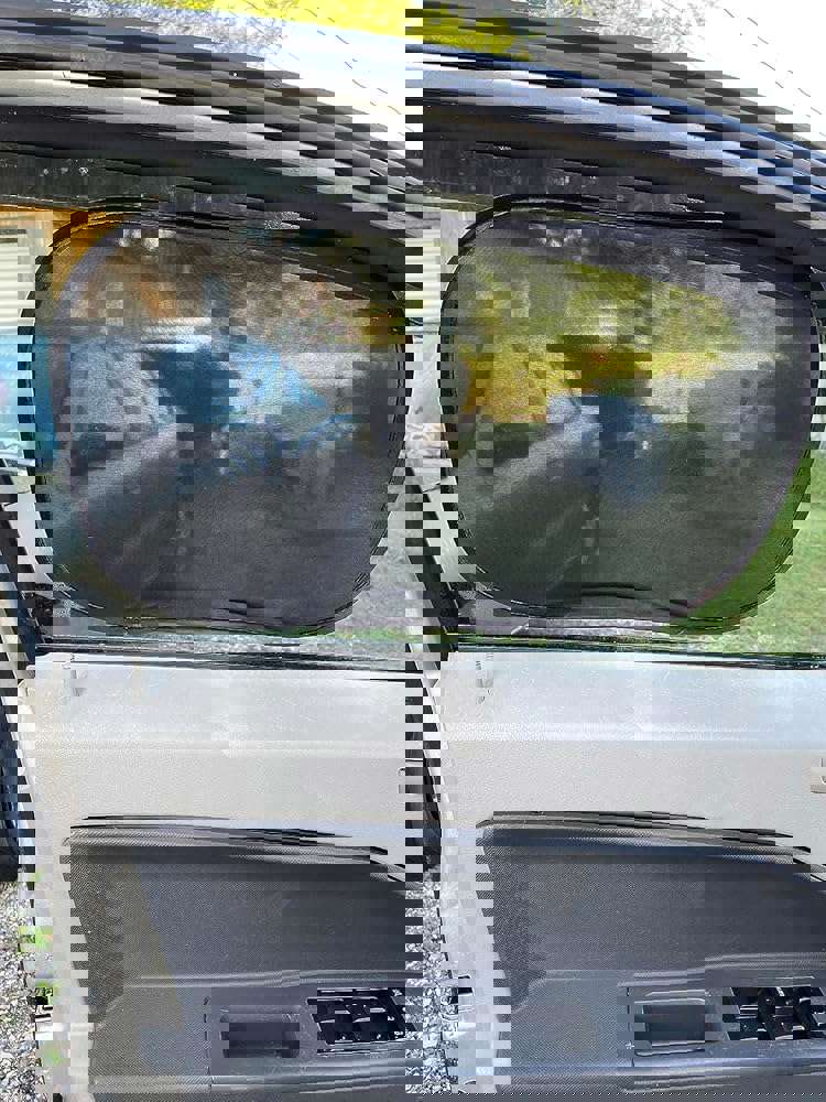 1520496
