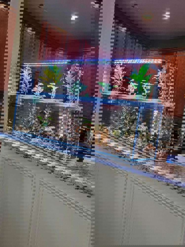 1535523
