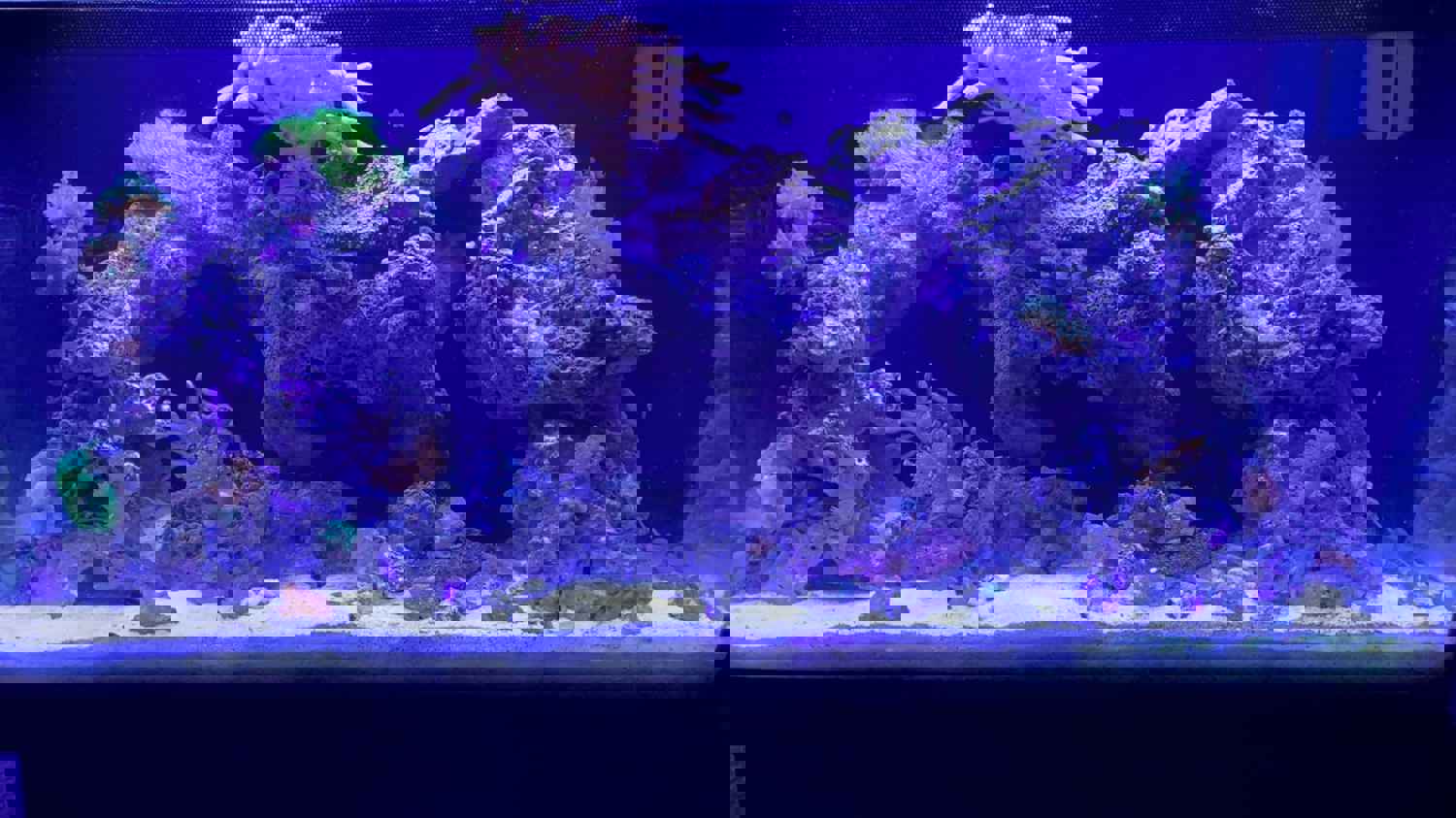 1535719