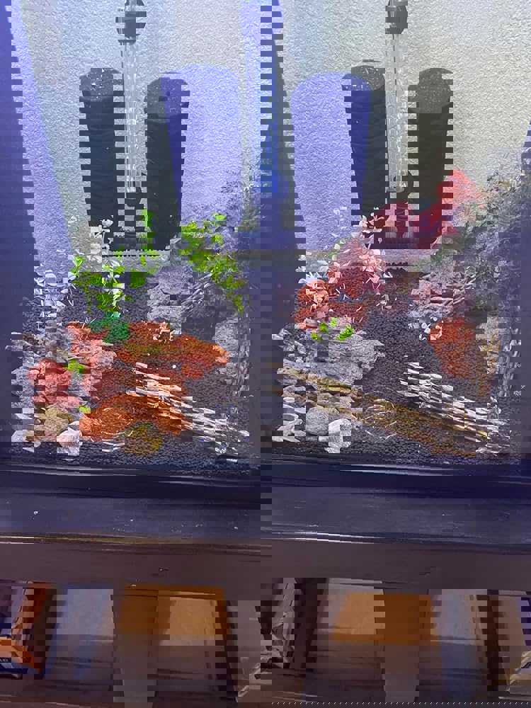 1536400