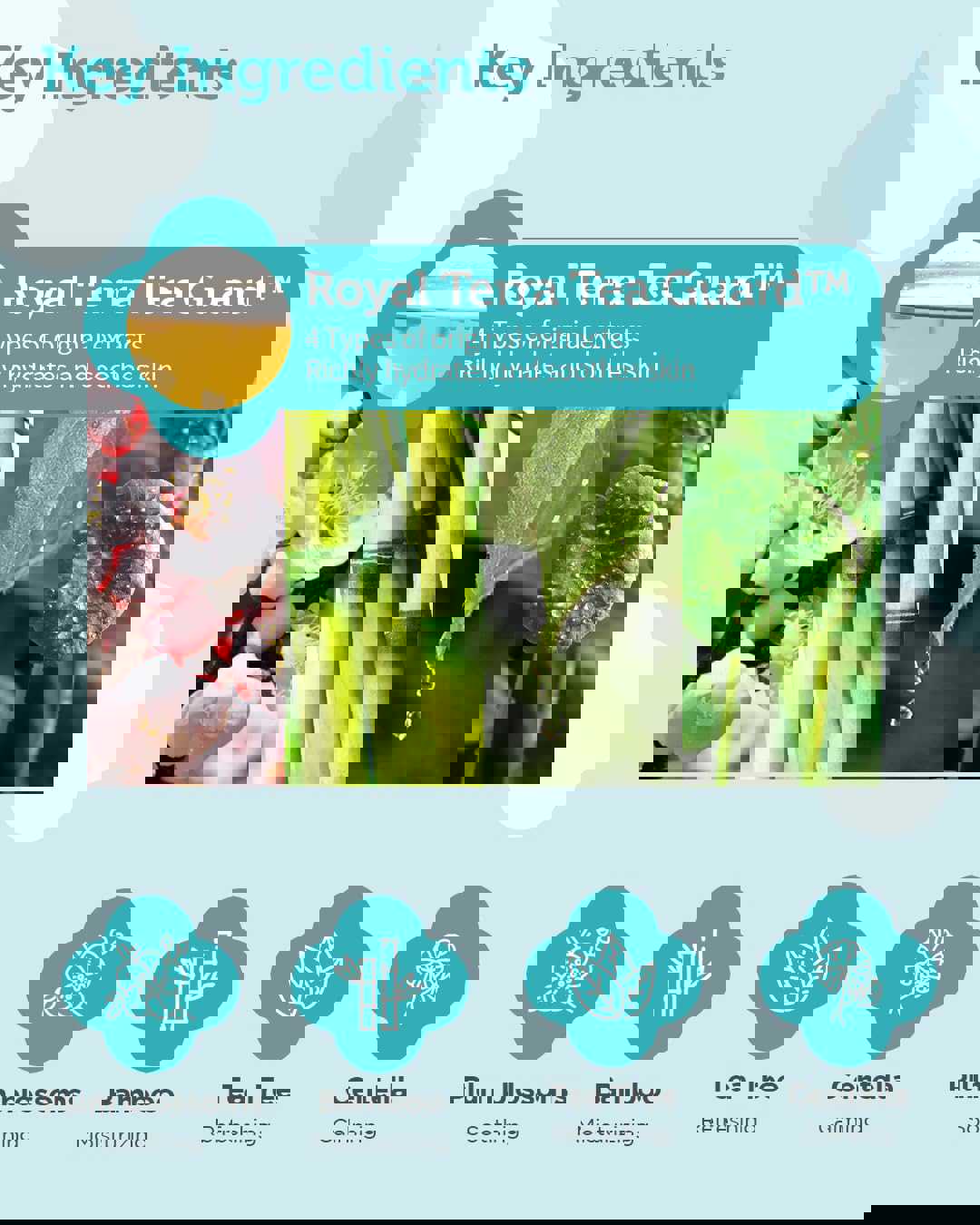 1538057