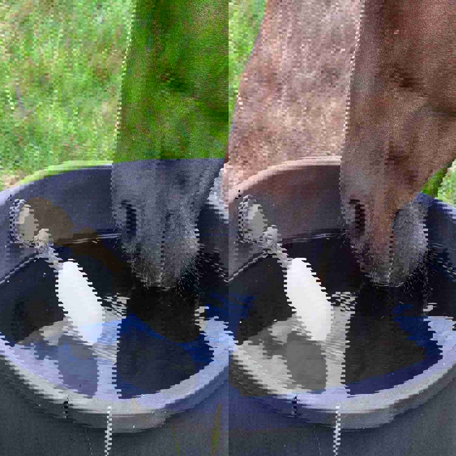 1539014