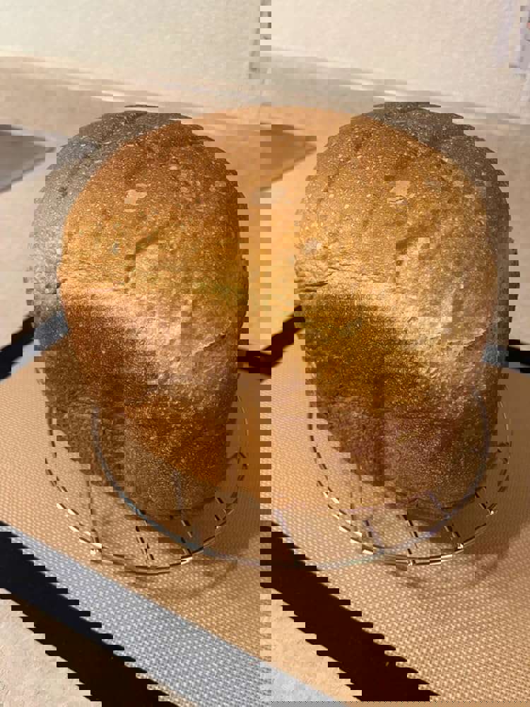 1539198