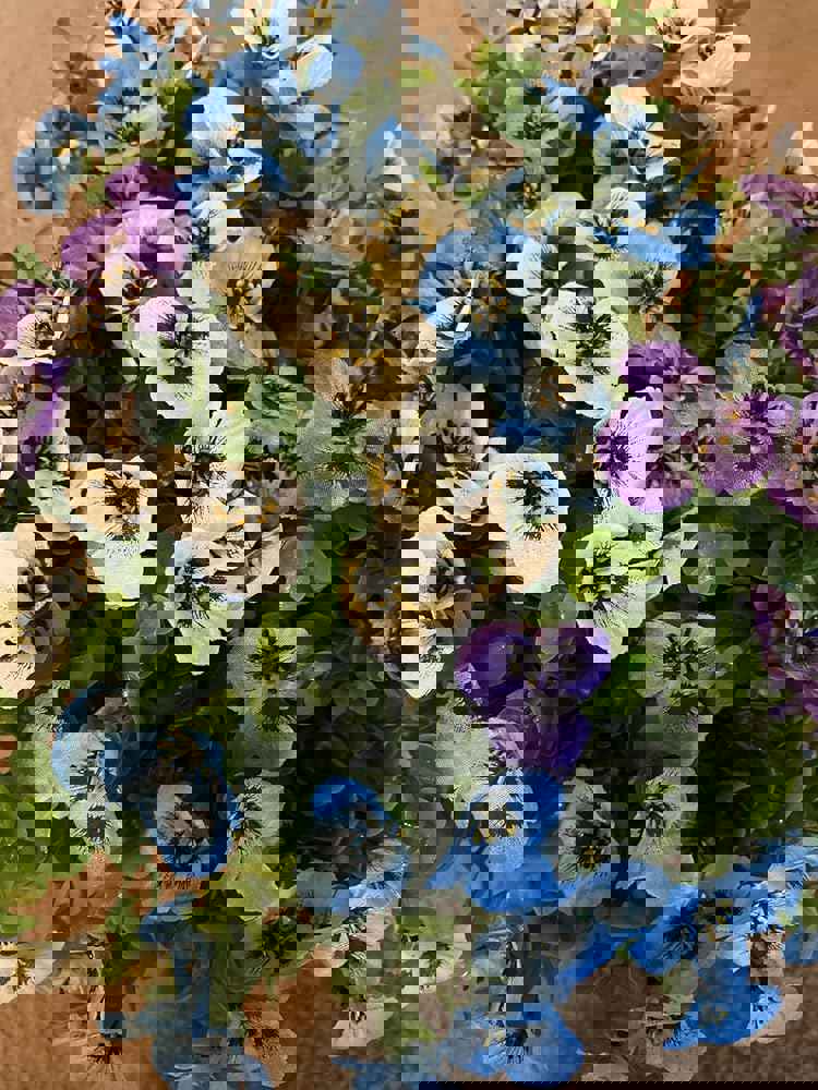 1539126