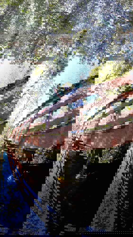 1539167