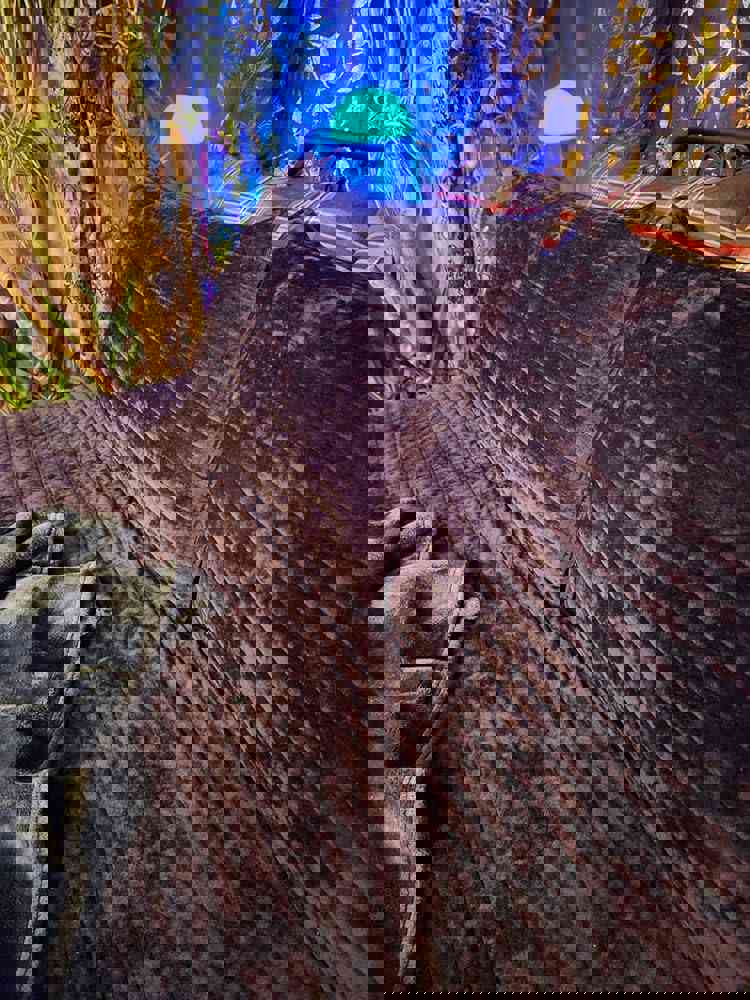 1539753
