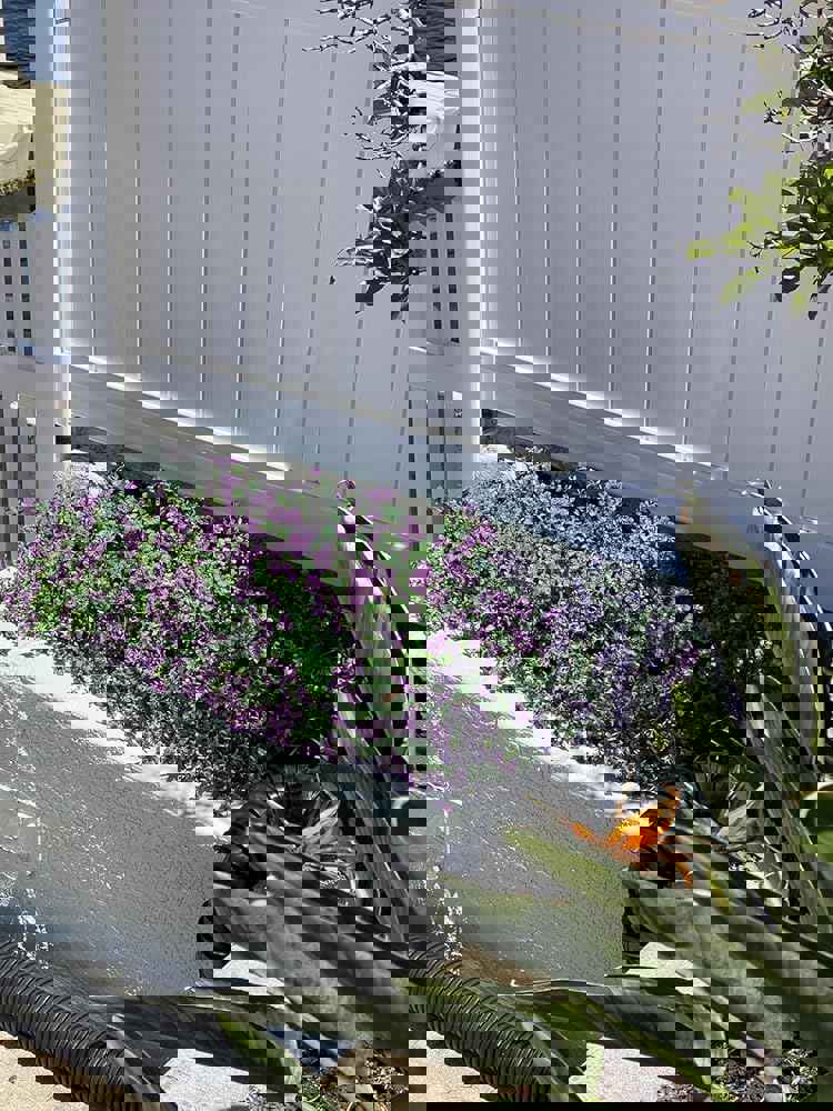 1539867