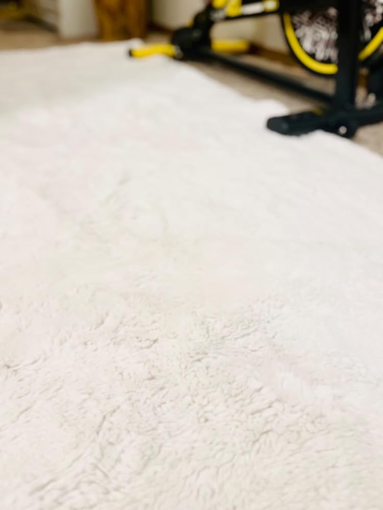 White Runner Rug for Bedroom 2x6 Fluffy Shaggy Rug Soft Plush Fuzzy Area Rug Bedside Runners for Hallway Kids Teens Baby Nursery Living Room with Non Slip Modern Indoor Decor Carpet
