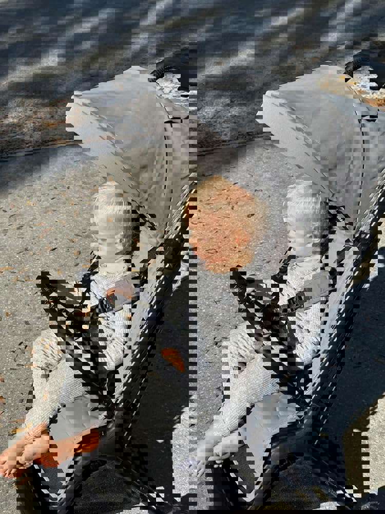 1541201