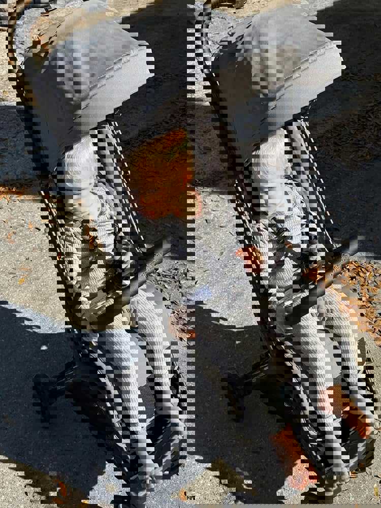 1541204