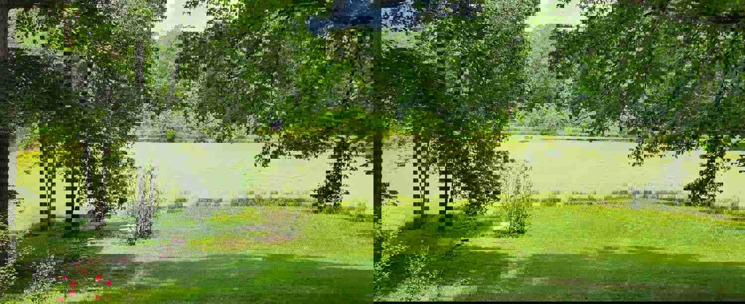 1541181