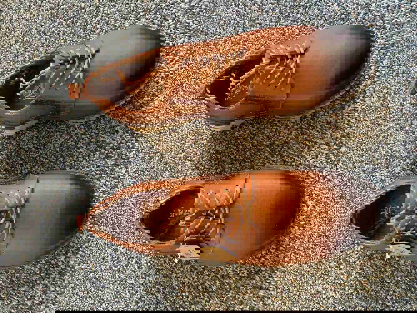 1542175