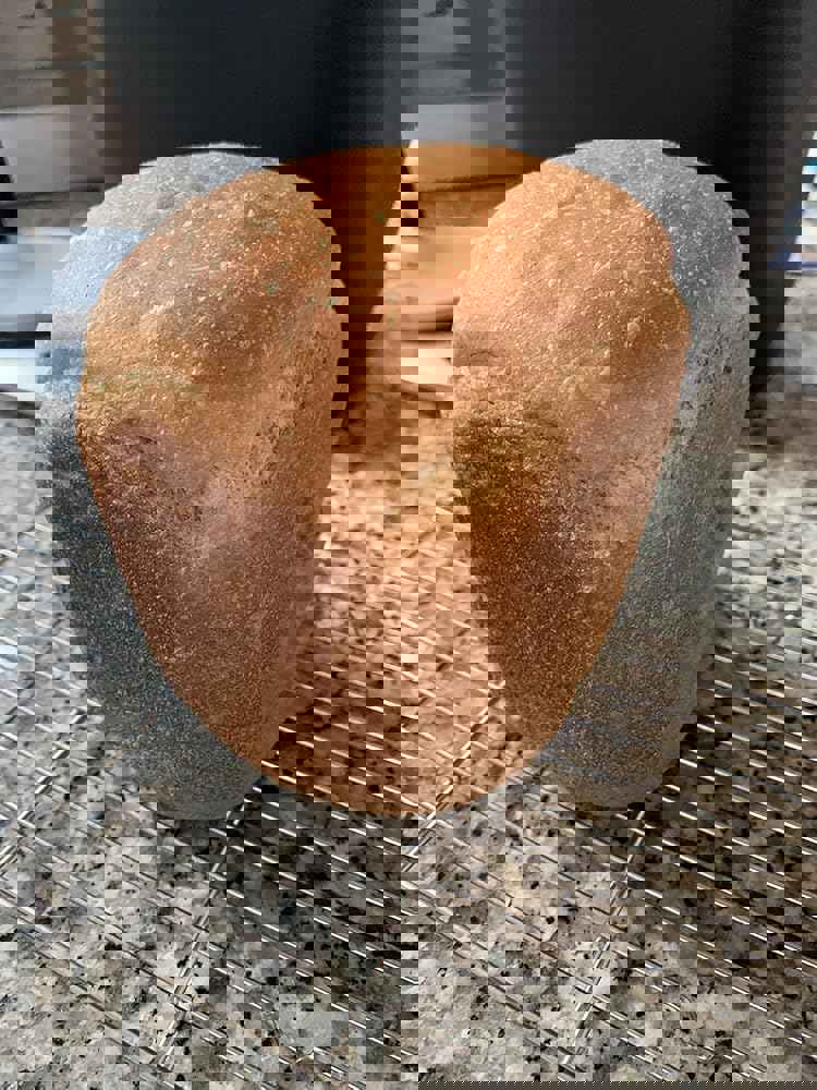 1542073