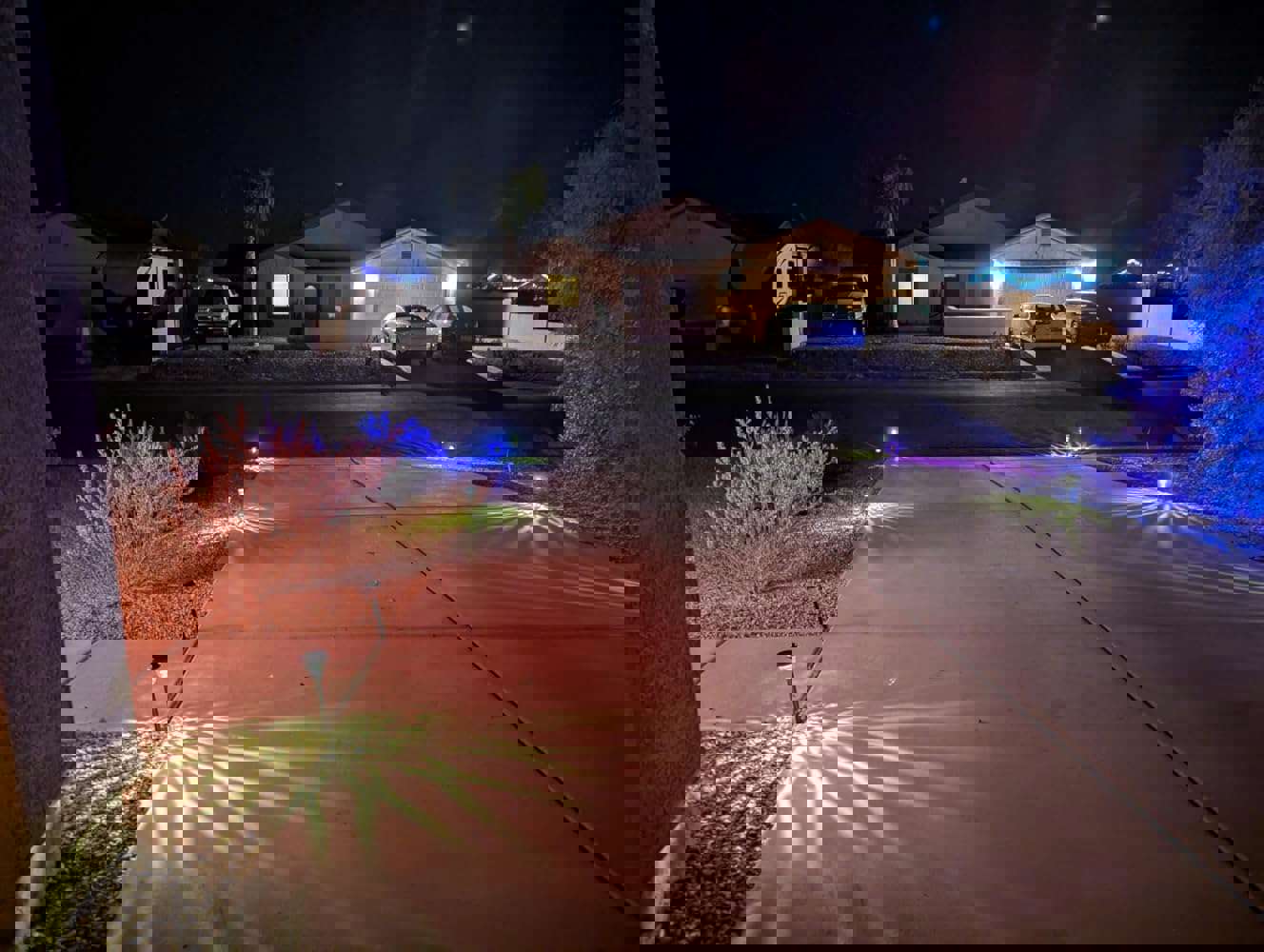 1541593