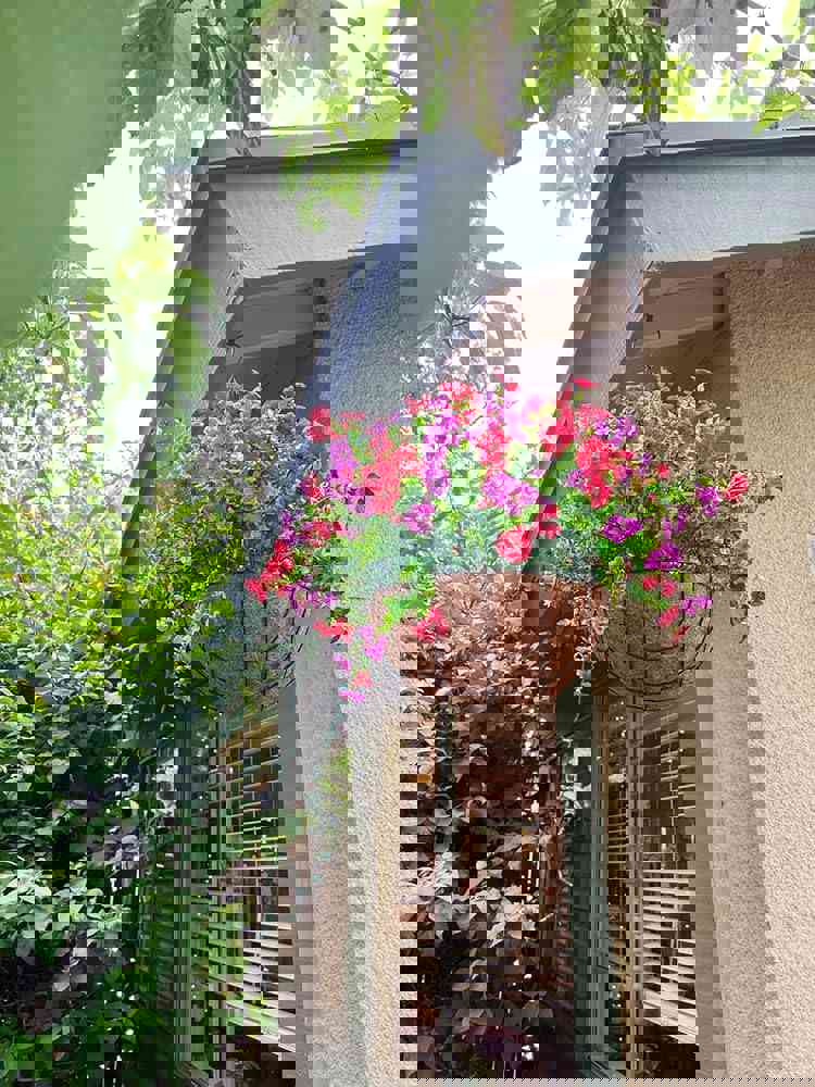 2527902