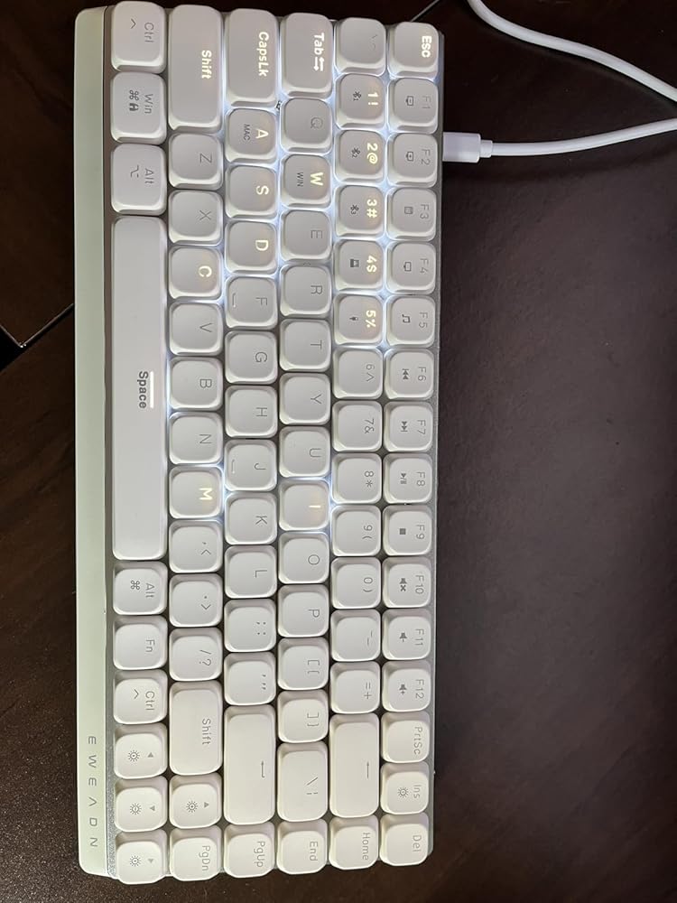 2528801
